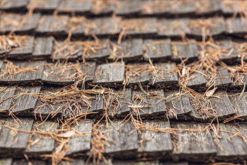Products For Roof Pine Needles Removals in use