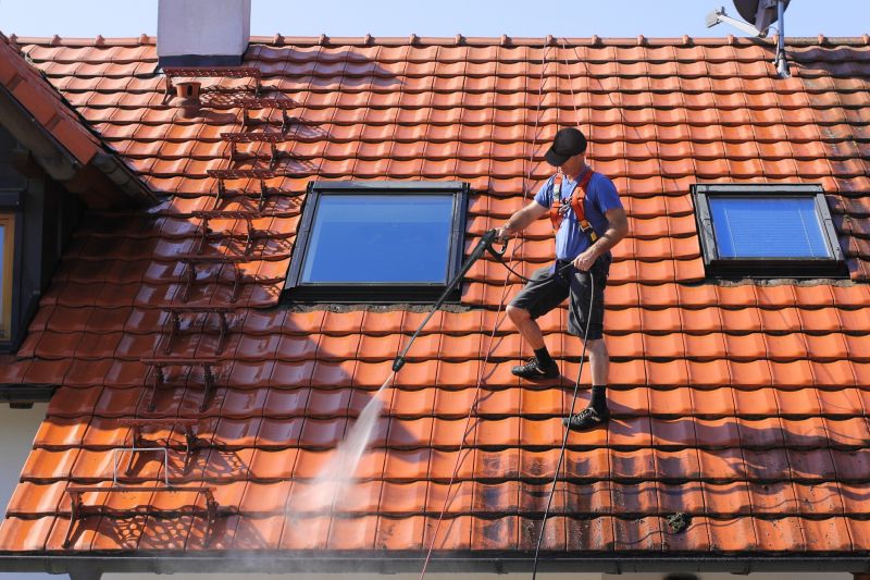 Professional Equipment for Roof Cleaning