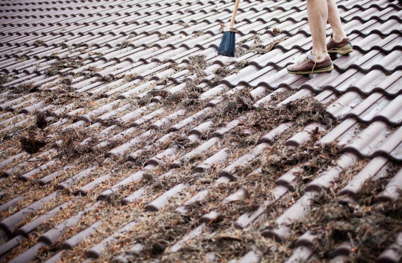 Safety Measures During Roof Cleaning