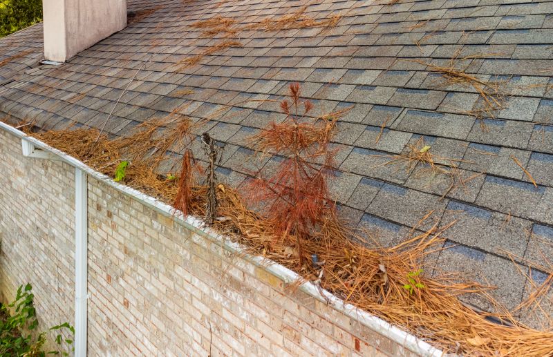 Post-Removal Roof Condition
