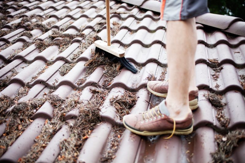 Tools Used in Pine Needle Removal