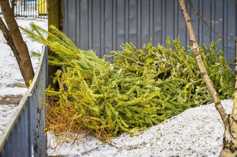 Debris Removal Tools