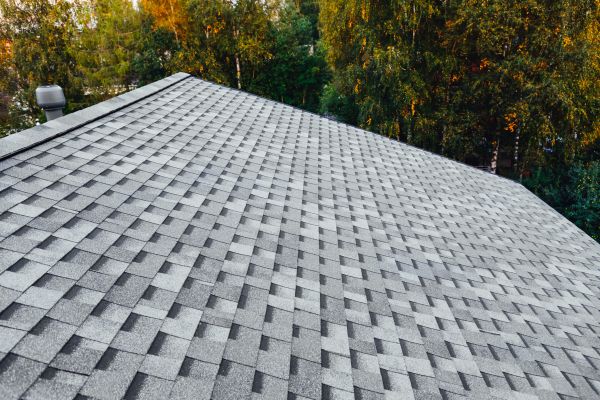 Roof Sweeping