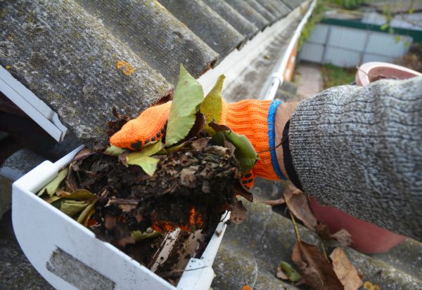 Roof Leaf Removal